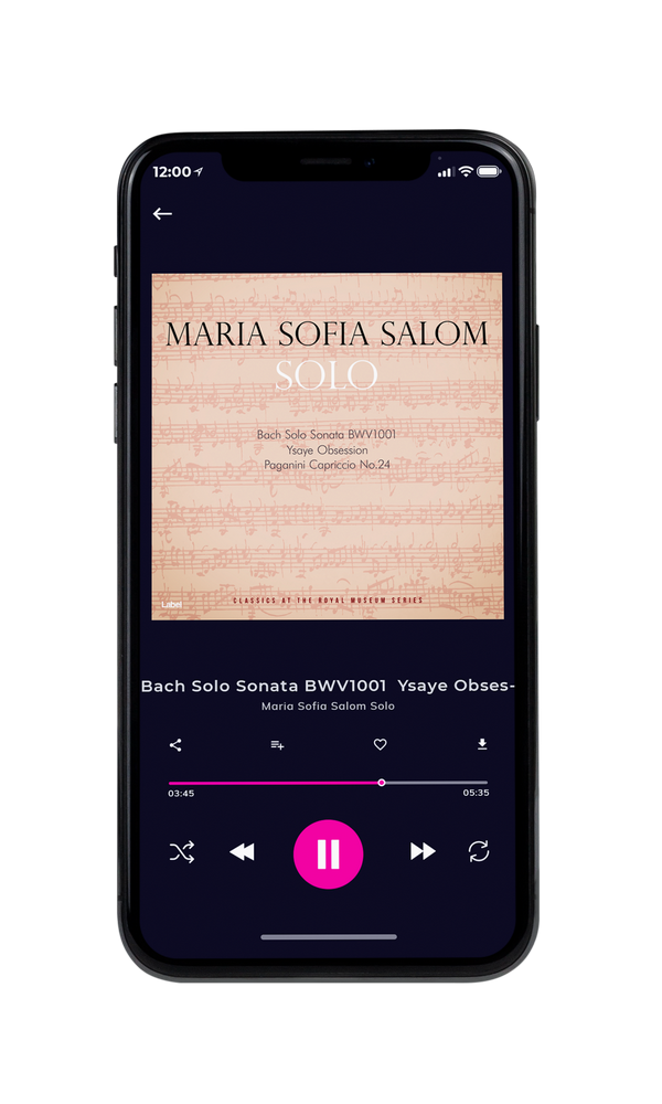Tablet view of Premade Contemporary Music Album Cover - Desert Sand #28 | AlbumArtZone*