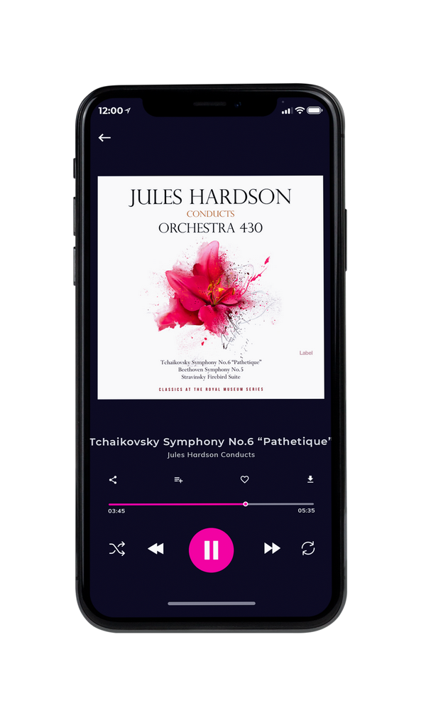 Tablet view of Premade Contemporary Music Album Cover - Brick Red #29 | AlbumArtZone*