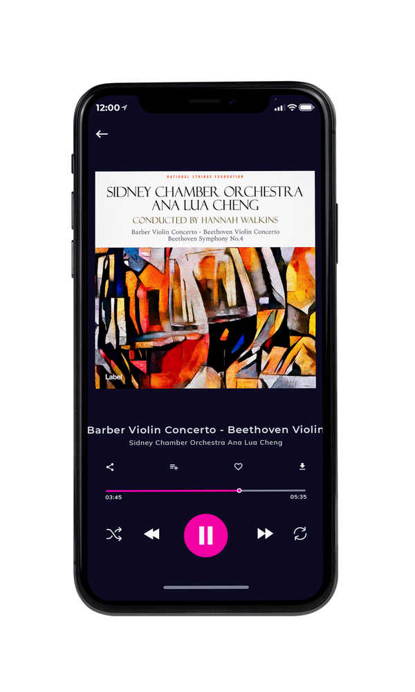 Tablet view of Premade Contemporary Music Album Cover - Cod Gray #45 | AlbumArtZone*