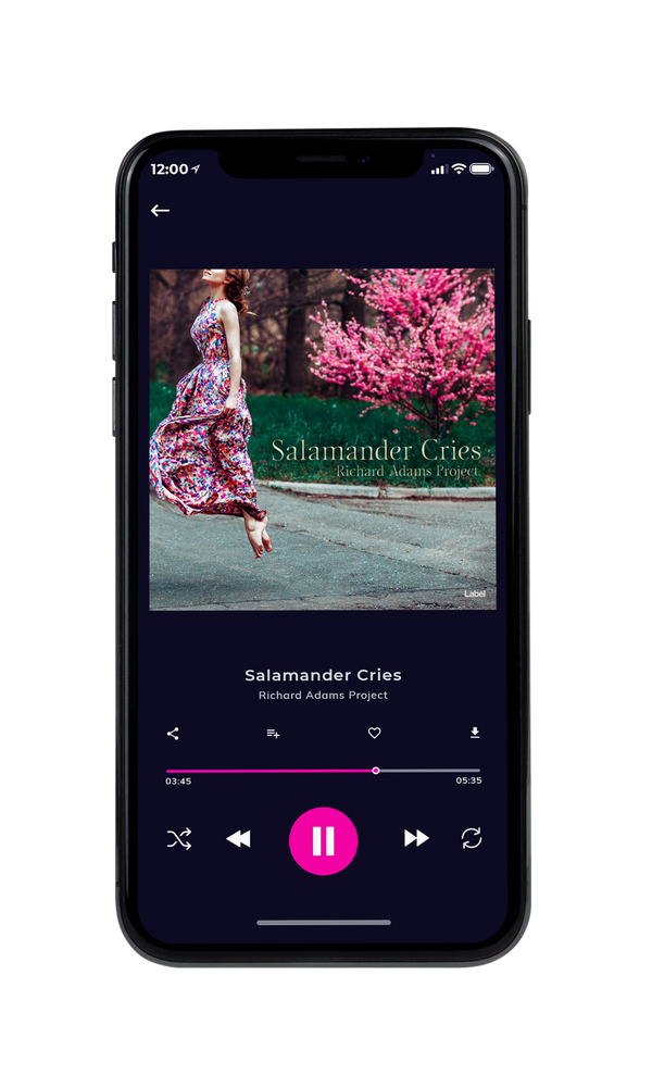 Tablet view of Premade Country & Acoustic Album Cover - Cape Cod #131 | AlbumArtZone*