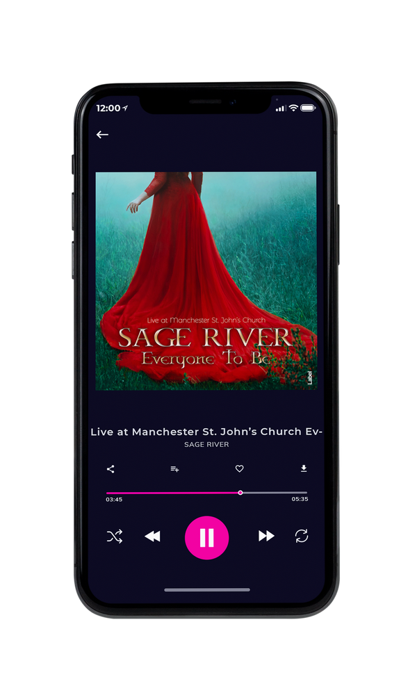 Tablet view of Premade Indie & Folk Music Book Cover - Buccaneer #152 | AlbumArtZone*
