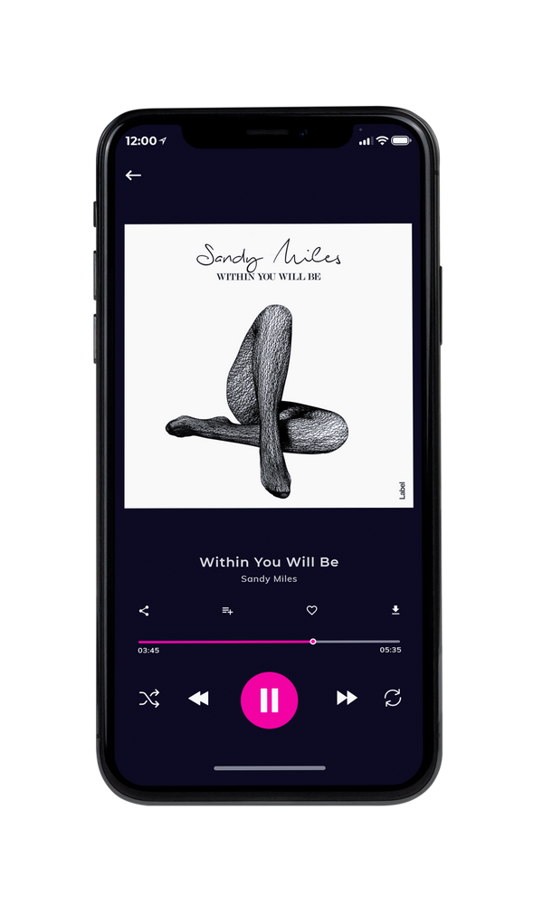 Tablet view of Premade Pop Album Cover - Silver #155 | AlbumArtZone*