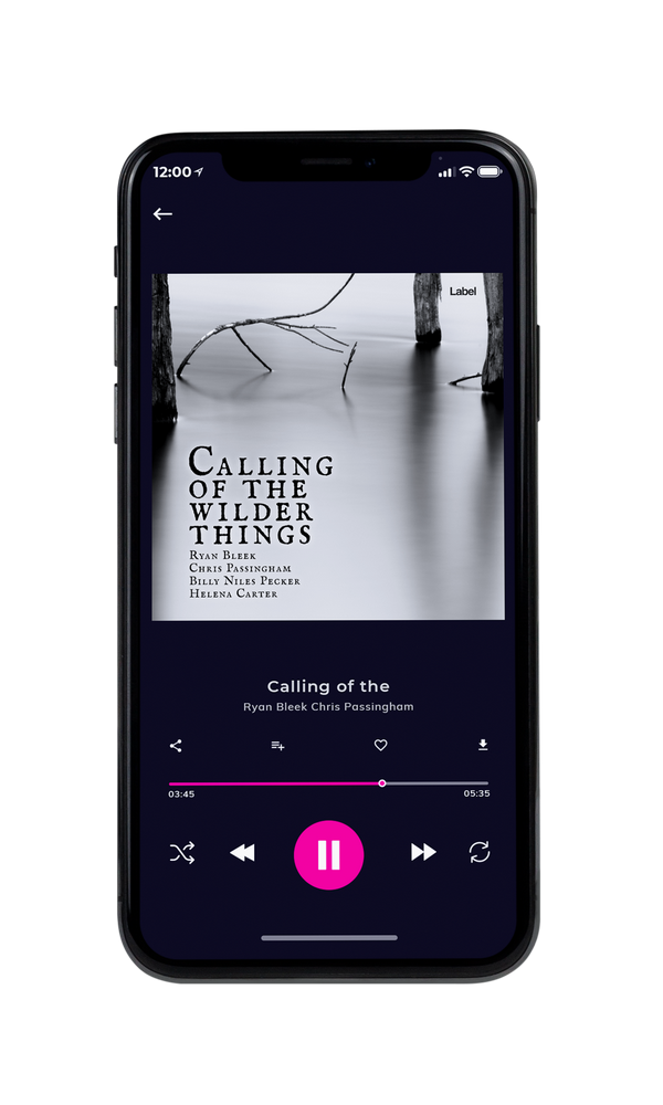 Tablet view of Premade Contemporary Music Album Cover - Silver #180 | AlbumArtZone*