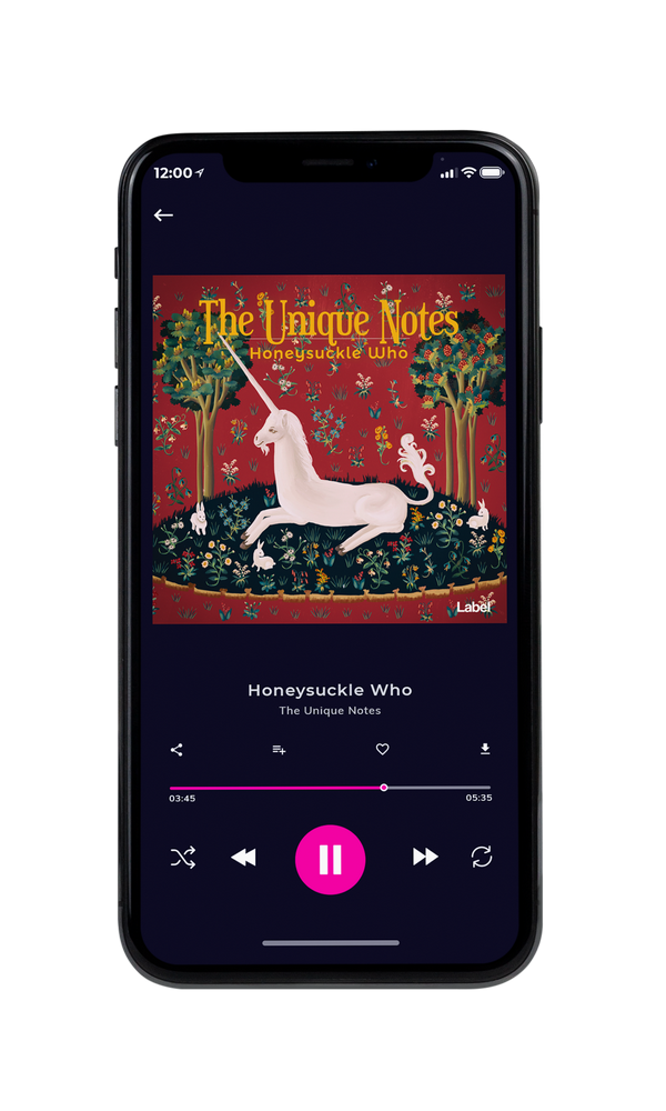 Tablet view of Premade Indie & Folk Music Book Cover - El Salva #195 | AlbumArtZone*