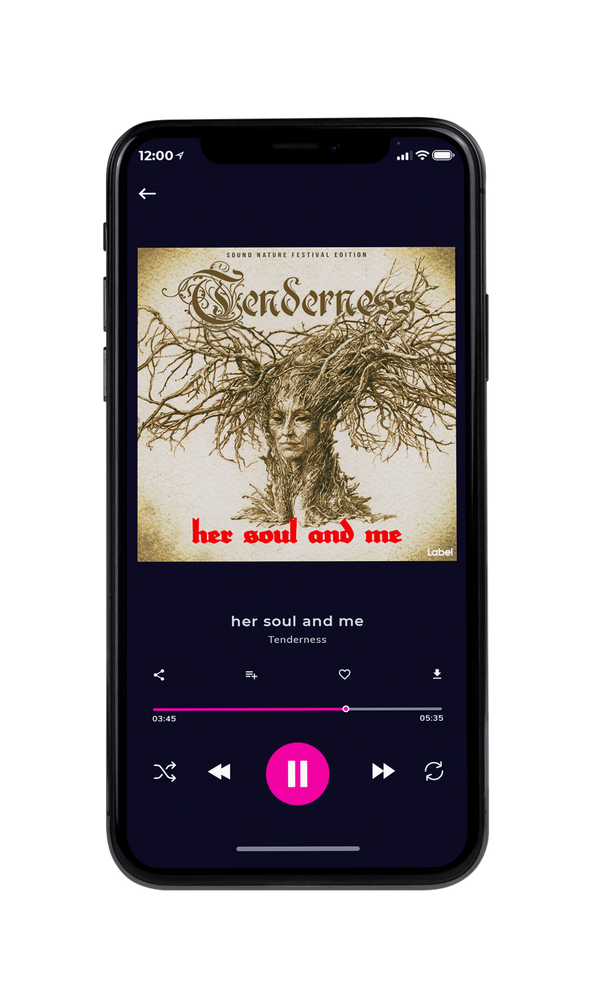 Tablet view of Premade Indie & Folk Music Book Cover - Bone #289 | AlbumArtZone*