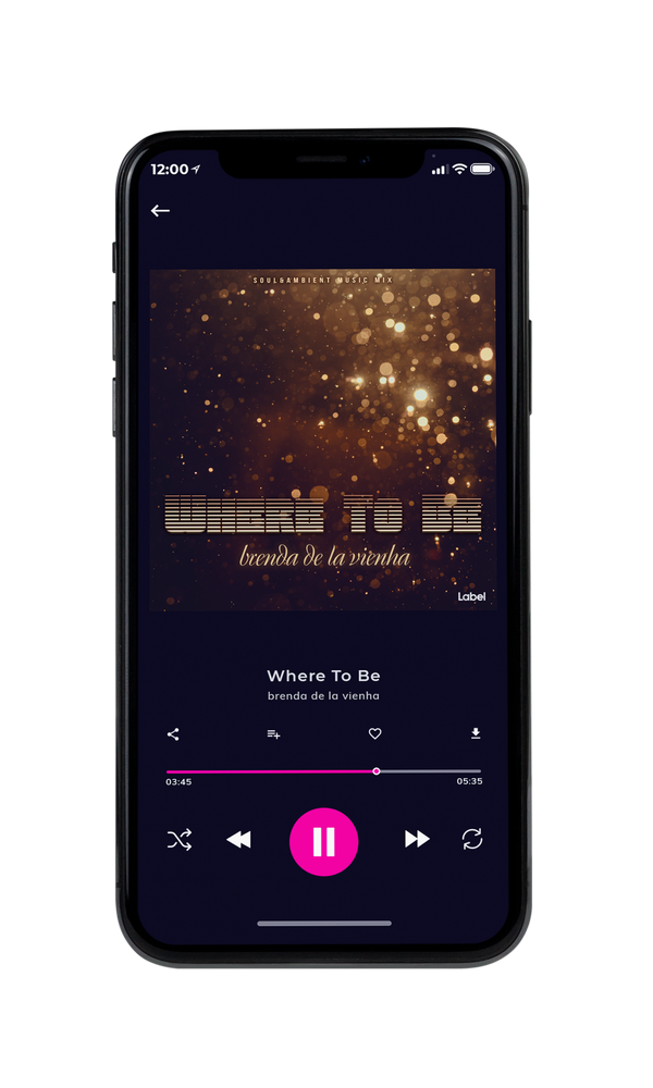 Tablet view of Premade Pop Album Cover - Cocoa Brown #293 | AlbumArtZone*