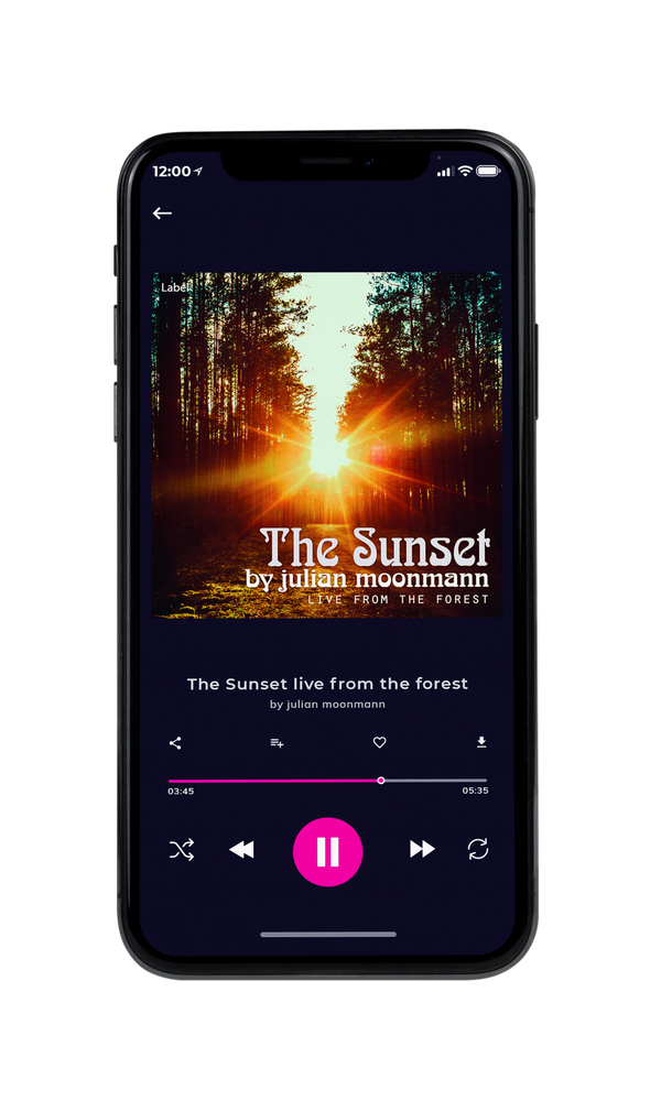 Tablet view of Premade Pop Album Cover - Calico #324 | AlbumArtZone*