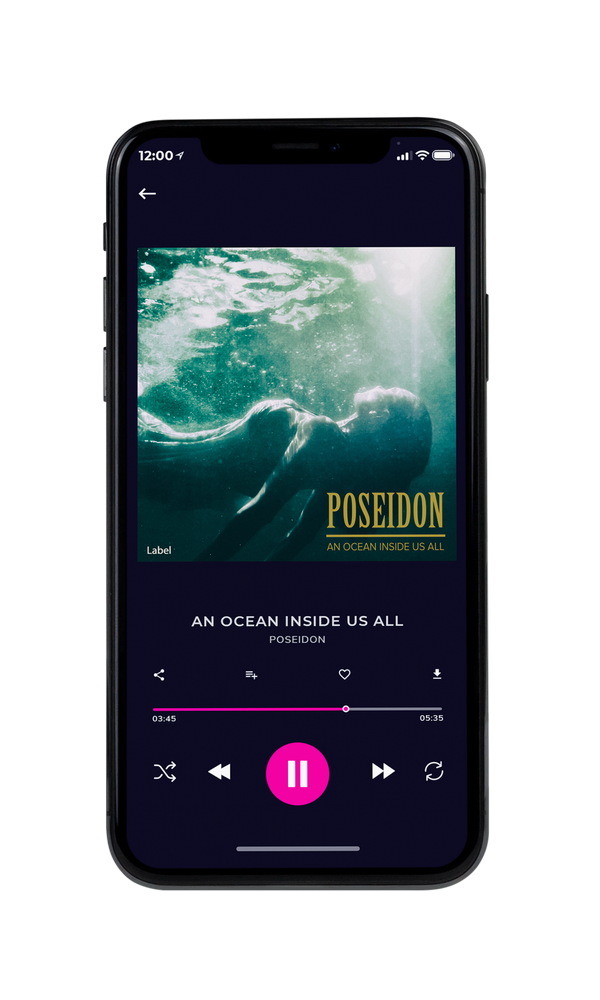 Tablet view of Premade Pop Album Cover - Foggy Gray #330 | AlbumArtZone*