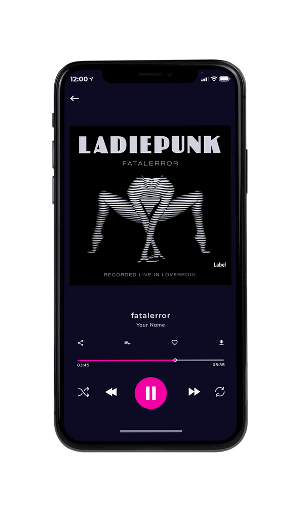 Tablet view of Premade Rock,Punk & Alternative Book Cover - Pale Slate #337 | AlbumArtZone*