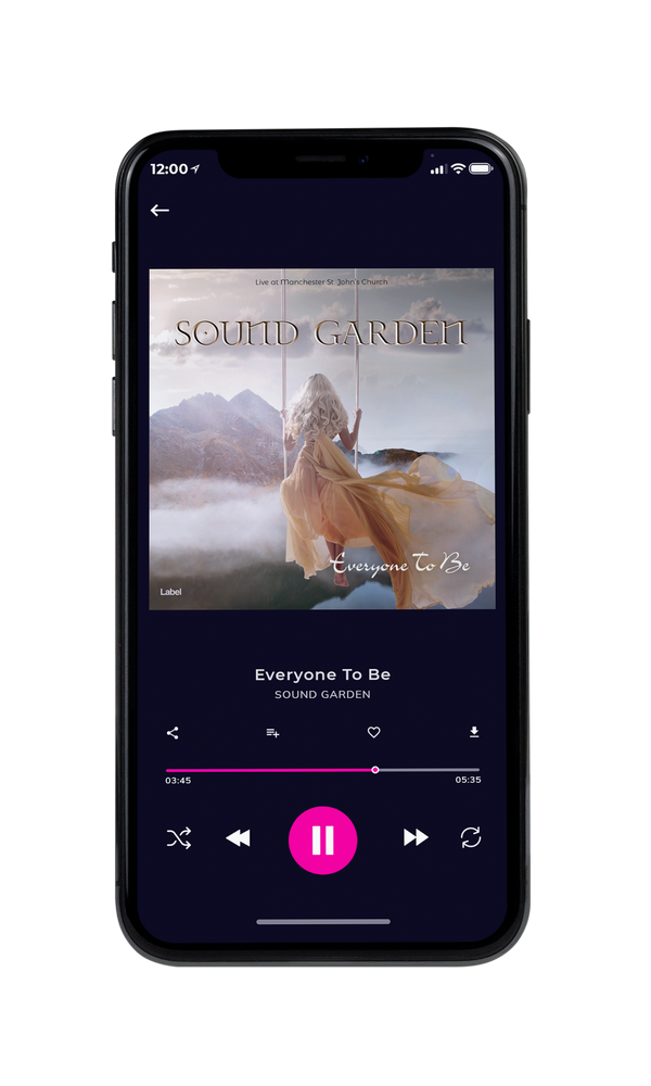 Tablet view of Premade Pop Album Cover - Silk #473 | AlbumArtZone*