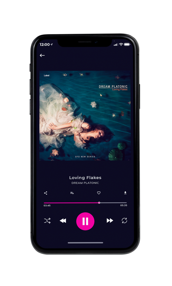 Tablet view of Premade Pop Album Cover - Big Stone #499 | AlbumArtZone*