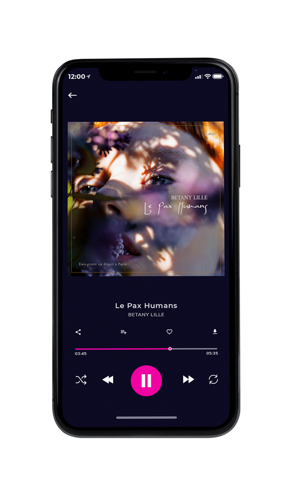 Tablet view of Premade Pop Album Cover - Zambezi #527 | AlbumArtZone*