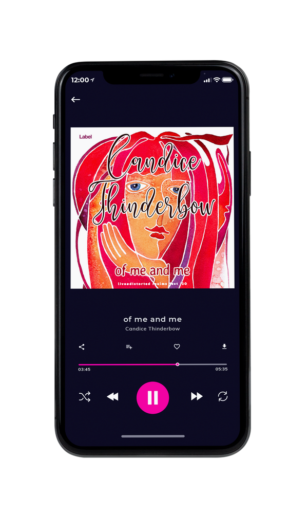 Tablet view of Premade Pop Album Cover - Brick Red #570 | AlbumArtZone*