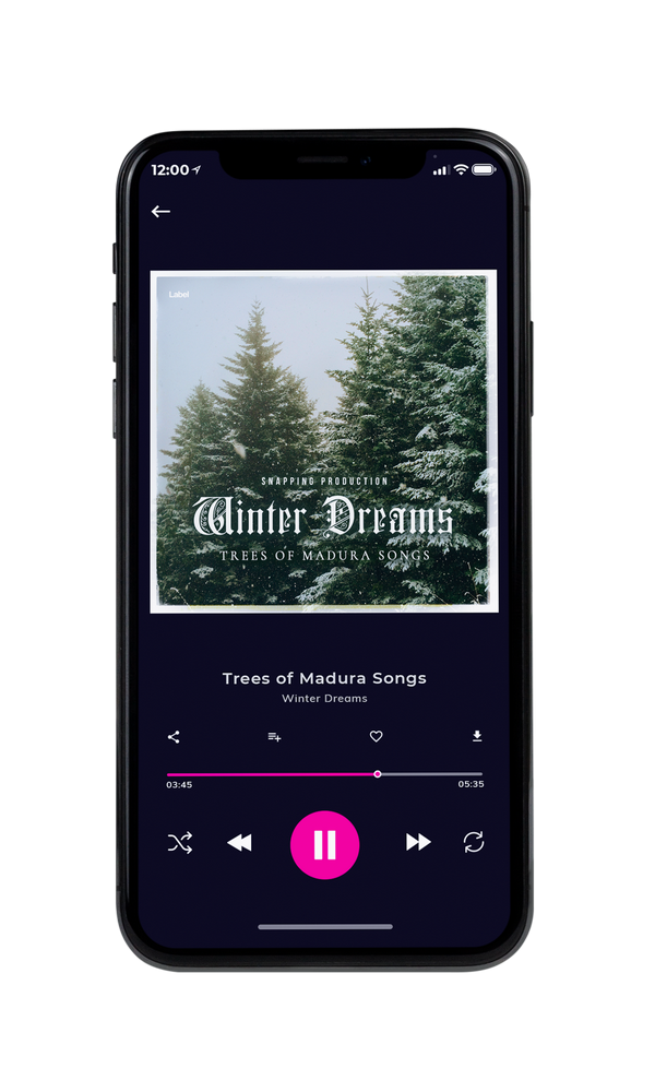 Tablet view of Premade Indie & Folk Music Book Cover - Iron #614 | AlbumArtZone*