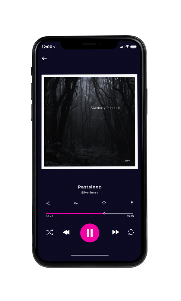 Tablet view of Premade Pop Album Cover - Cod Gray #678 | AlbumArtZone*