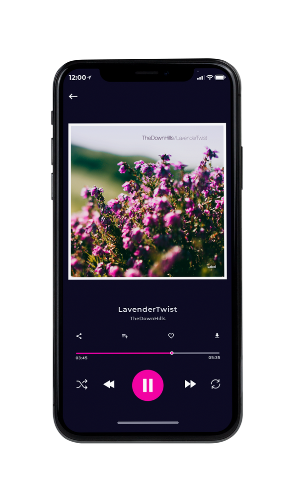 Tablet view of Premade Pop Album Cover - Rangitoto #680 | AlbumArtZone*