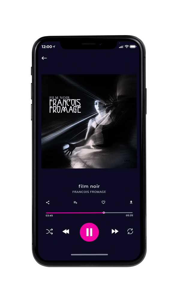 Tablet view of Premade Pop Album Cover - Cod Gray #691 | AlbumArtZone*
