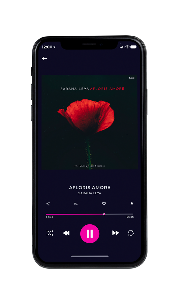 Tablet view of Premade Pop Album Cover - Black #747 | AlbumArtZone*