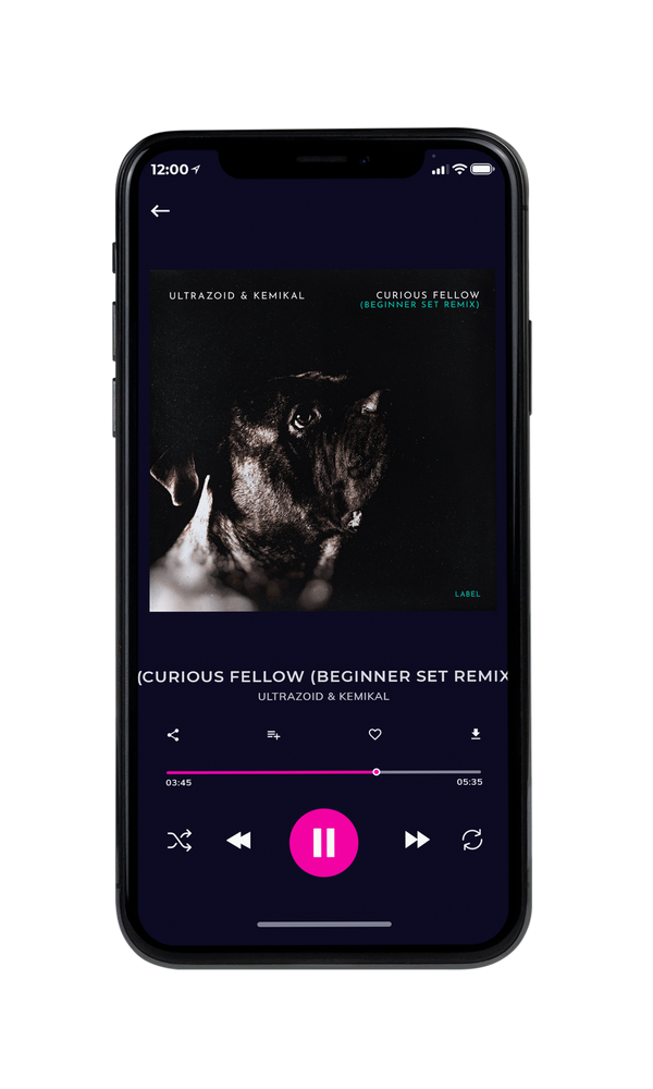 Tablet view of Premade Pop Album Cover - Cod Gray #824 | AlbumArtZone*