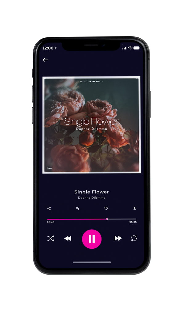 Tablet view of Premade Pop Album Cover - Merlin #865 | AlbumArtZone*