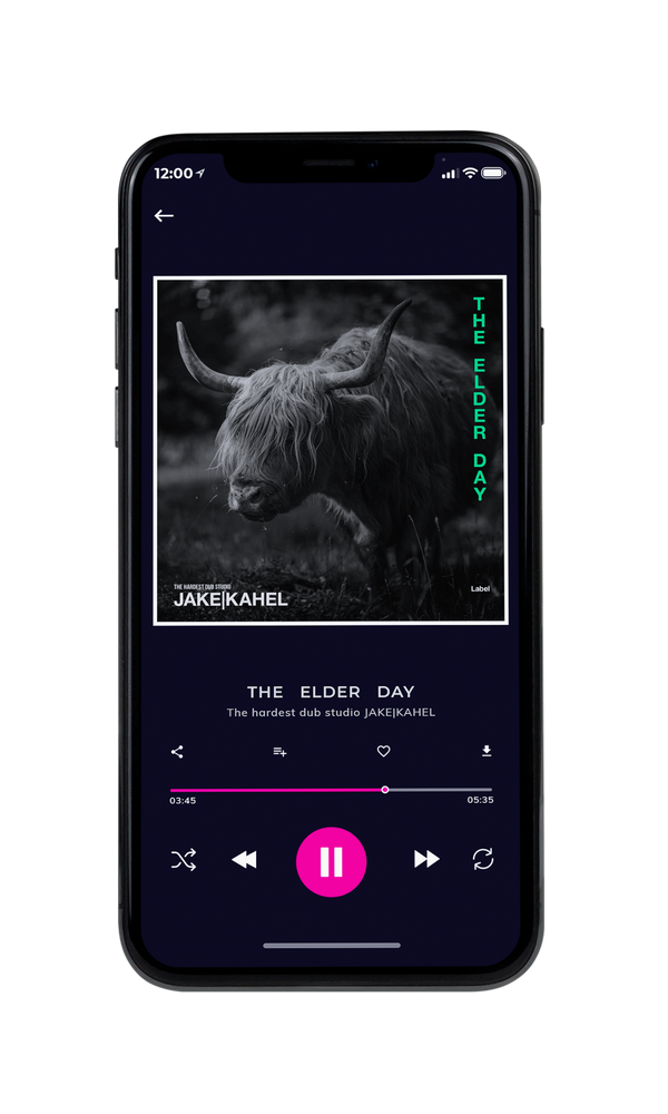 Tablet view of Premade Pop Album Cover - Cod Gray #922 | AlbumArtZone*