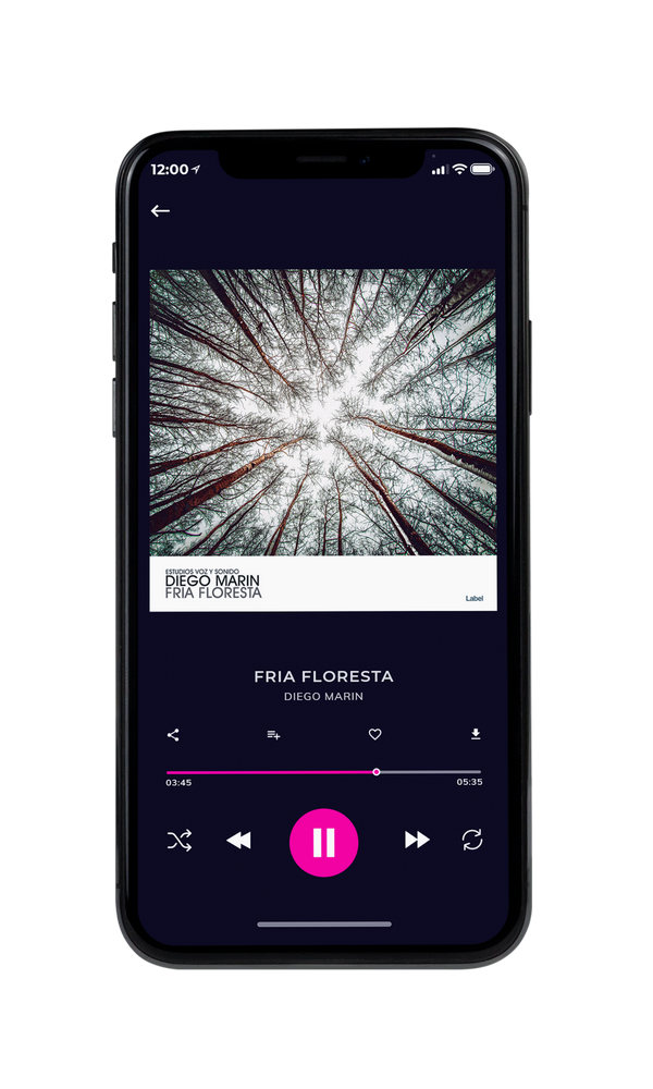 Tablet view of Premade Country & Acoustic Album Cover - Quill Gray #939 | AlbumArtZone*