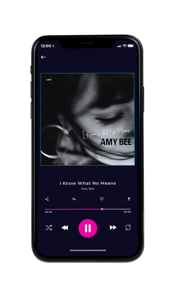 Tablet view of Premade Pop Album Cover - Cod Gray #984 | AlbumArtZone*