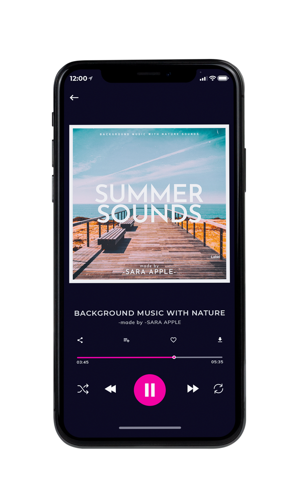 Tablet view of Premade Summer Hits Album Cover - Silver #1087 | AlbumArtZone*