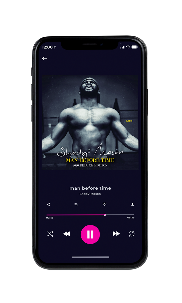 Tablet view of Premade Podcast Book Cover - Charade #1140 | AlbumArtZone*