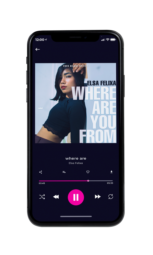 Tablet view of Premade Pop Album Cover - Ebony Clay #1145 | AlbumArtZone*