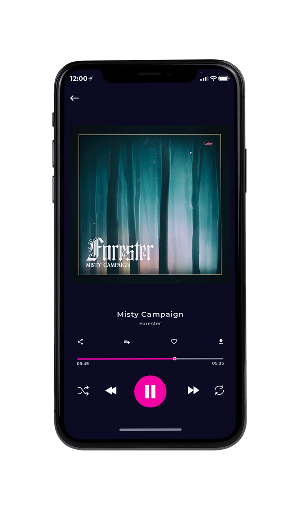 Tablet view of Premade Indie & Folk Music Album Cover - Timber Green #1166 | AlbumArtZone*