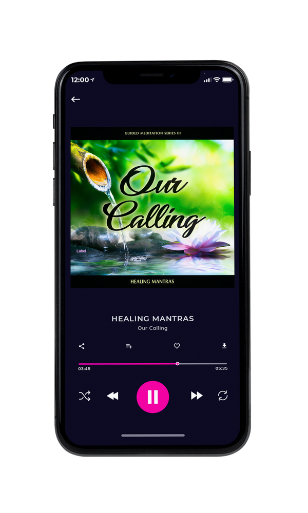 Tablet view of Premade Podcast Album Cover - Caper #1201 | AlbumArtZone*