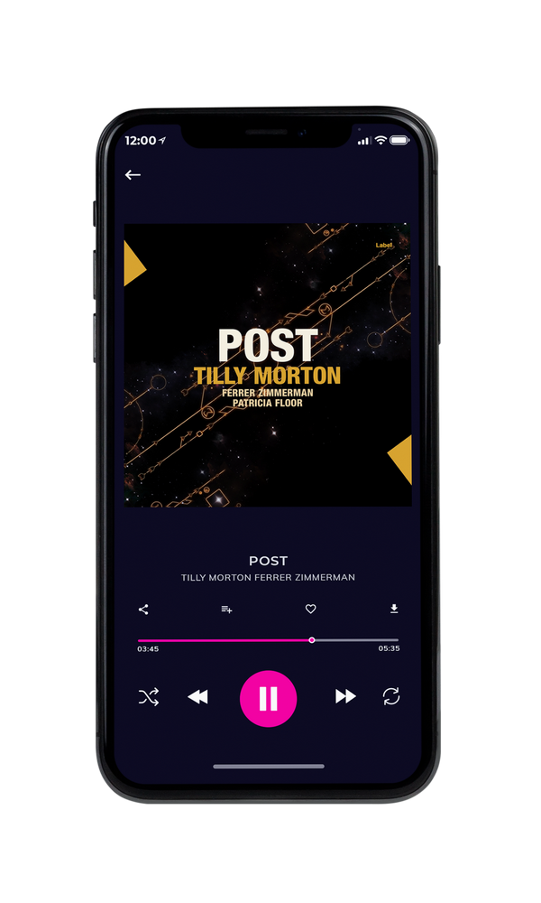 Tablet view of Premade Hip-hop, Rap & Trap Book Cover - Cod Gray #1289 | AlbumArtZone*