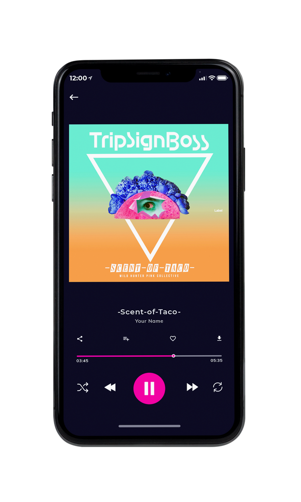 Tablet view of Premade Summer Hits Album Cover - Pine Glade #1294 | AlbumArtZone*