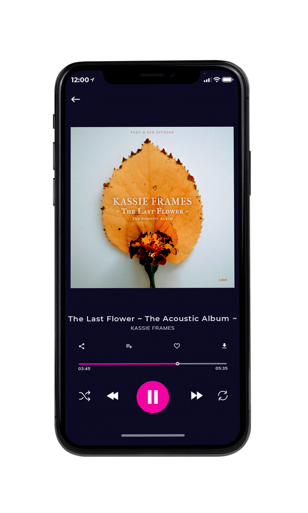 Tablet view of Premade Pop Album Cover - Pumice #1356 | AlbumArtZone*