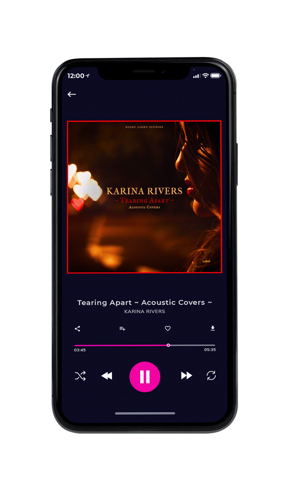 Tablet view of Premade Pop Album Cover - Burnt Sienna #1363 | AlbumArtZone*