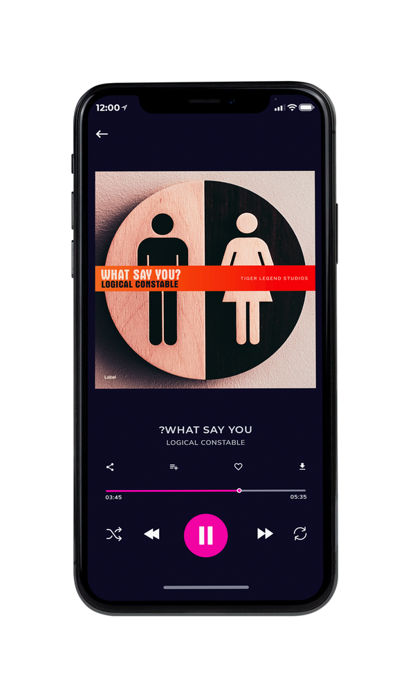 Tablet view of Premade Pop Album Cover - Cashmere #1407 | AlbumArtZone*