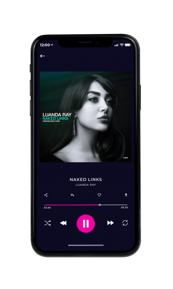 Tablet view of Premade Pop Album Cover - Gray Nickel #1467 | AlbumArtZone*