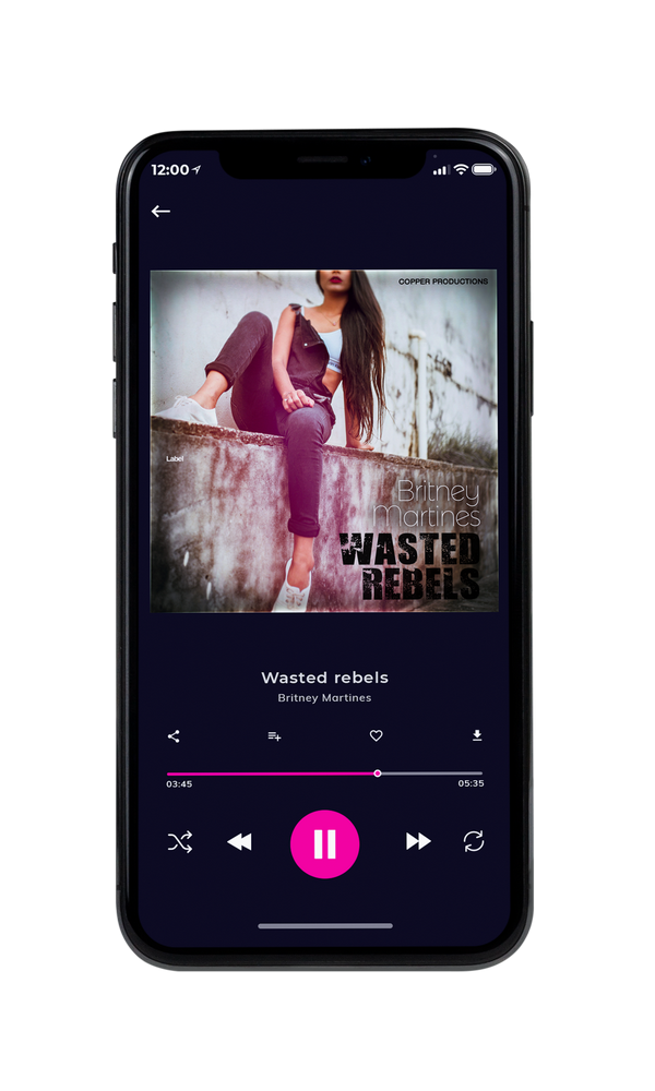 Tablet view of Premade Pop Album Cover - Dusty Gray #1479 | AlbumArtZone*