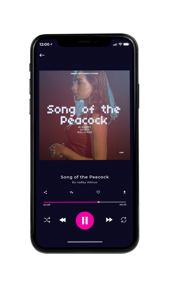 Tablet view of Premade Pop Album Cover - Ferra #1577 | AlbumArtZone*
