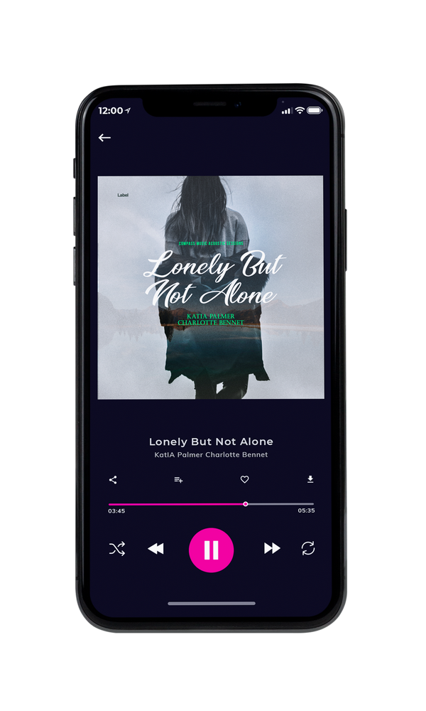 Tablet view of Premade Pop Album Cover - Silver Sand #1623 | AlbumArtZone*