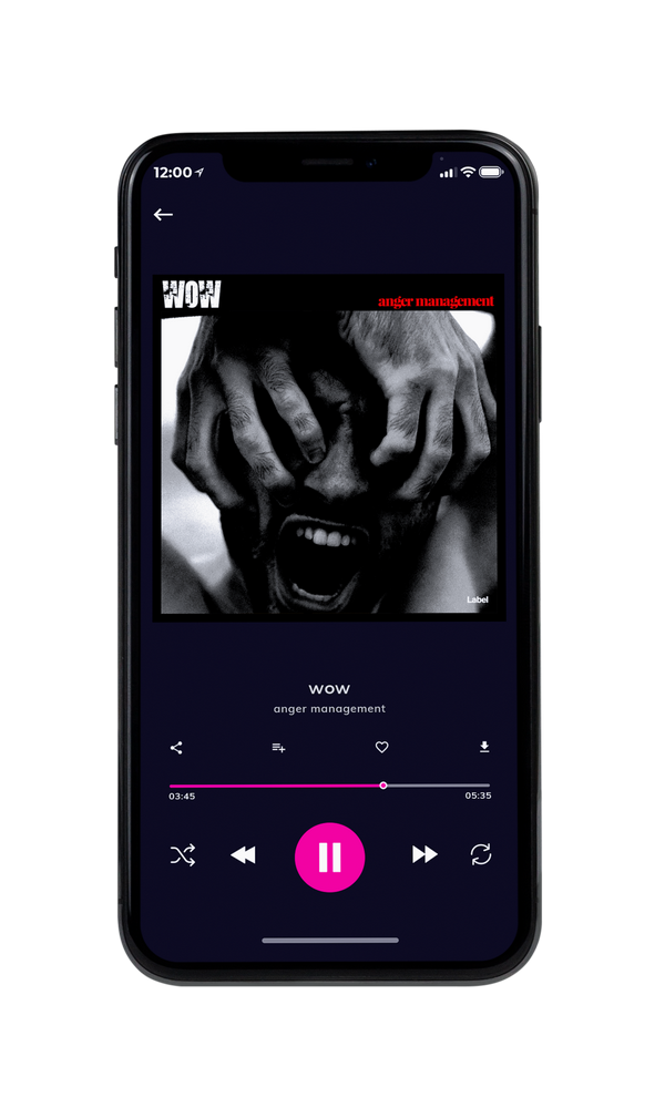 Tablet view of Premade Rock,Punk & Alternative Album Cover - Silver Chalice #1671 | AlbumArtZone*