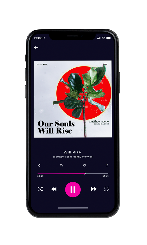 Tablet view of Premade Pop Album Cover - Green Kelp #1884 | AlbumArtZone*