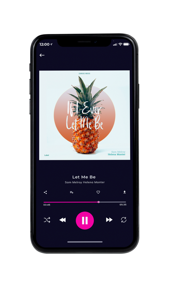 Tablet view of Premade Pop Album Cover - Gray Nurse #1900 | AlbumArtZone*