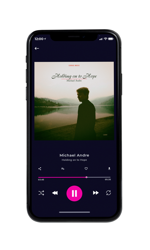 Tablet view of Premade Pop Album Cover - Palm Leaf #1917 | AlbumArtZone*