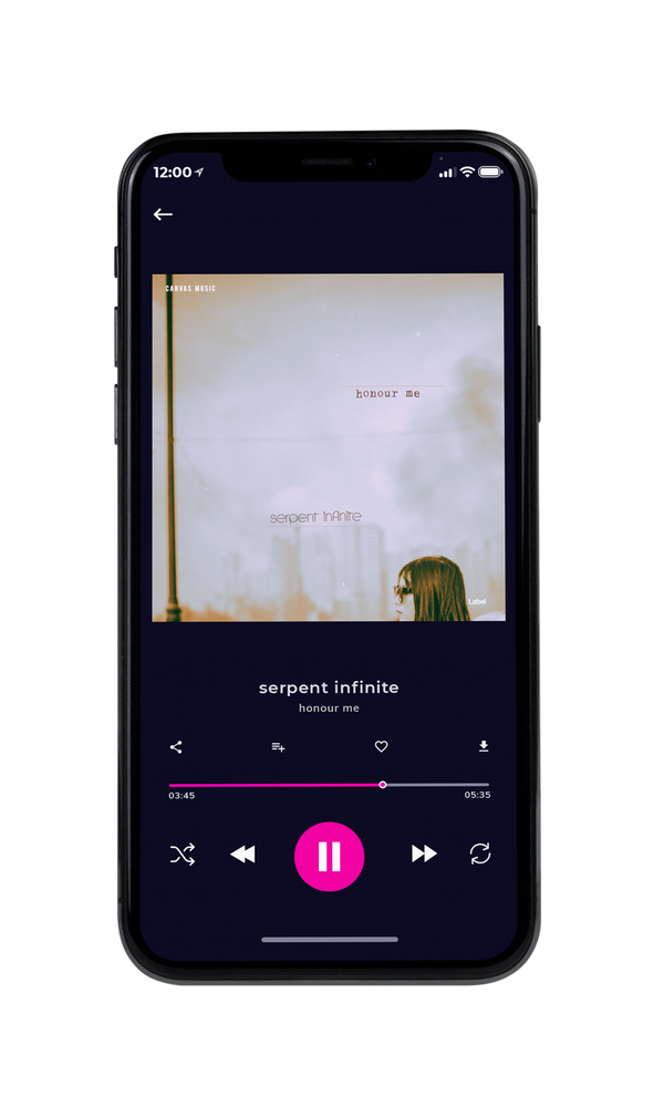 Tablet view of Premade Pop Album Cover - Pale Slate #1933 | AlbumArtZone*