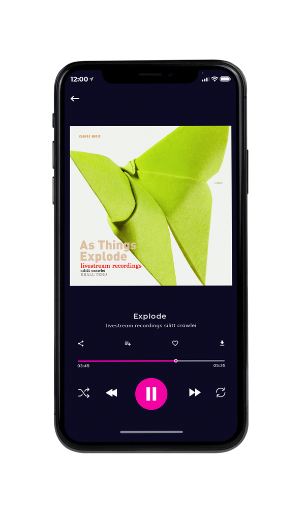 Tablet view of Premade Pop Album Cover - Conifer #1987 | AlbumArtZone*