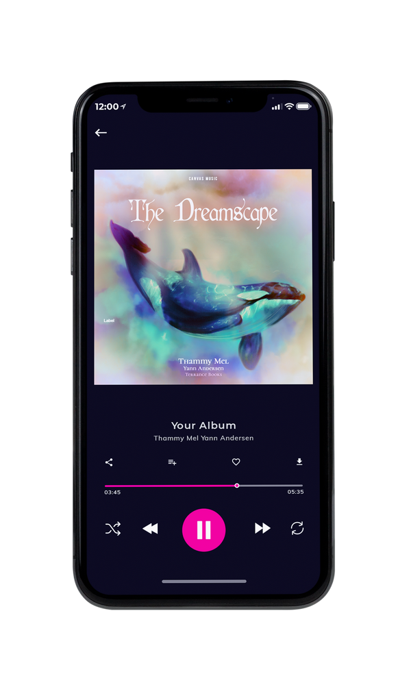 Tablet view of Premade Podcast Album Cover - Gray Nickel #2010 | AlbumArtZone*