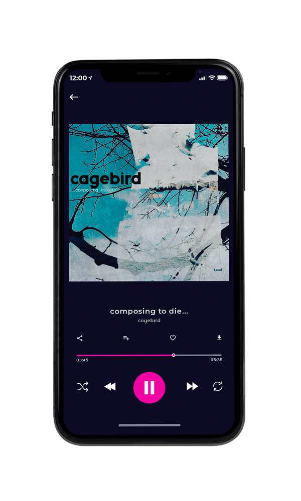 Tablet view of Premade Electronica & Ambient Album Cover - Powder Ash #2223 | AlbumArtZone*