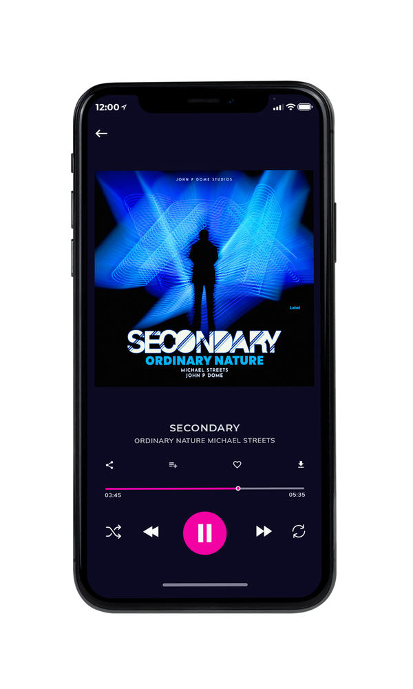 Tablet view of Premade EDM, House & Dub Book Cover - Ebony #2310 | AlbumArtZone*